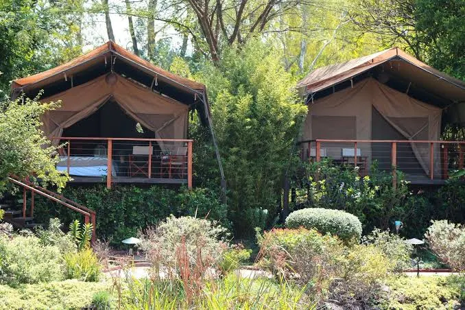 Wildebeest Eco Camp Amboseli